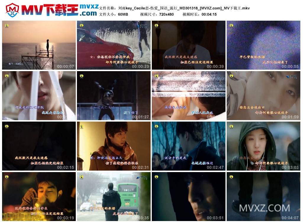 刘雨key_Cecile恋-伤爱_国语_流行_MD301318